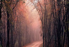 [法甲]第1轮 布雷斯特1-5马赛.