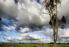 超凡国际官网:尽力局!王大雷全场7次扑救获评8.2分,仍然难以挽回败局.