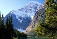 太离谱,广东队狠起来自己人也打,任骏飞肘击莫兰德直接倒地不起.